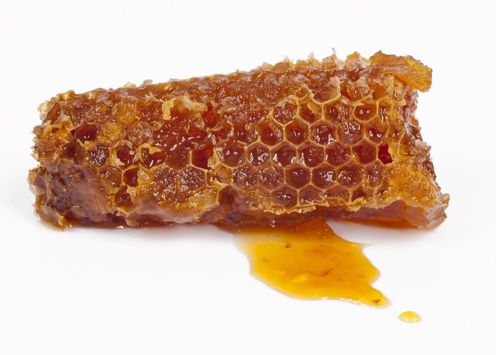 plástev s medem, kvalitní med