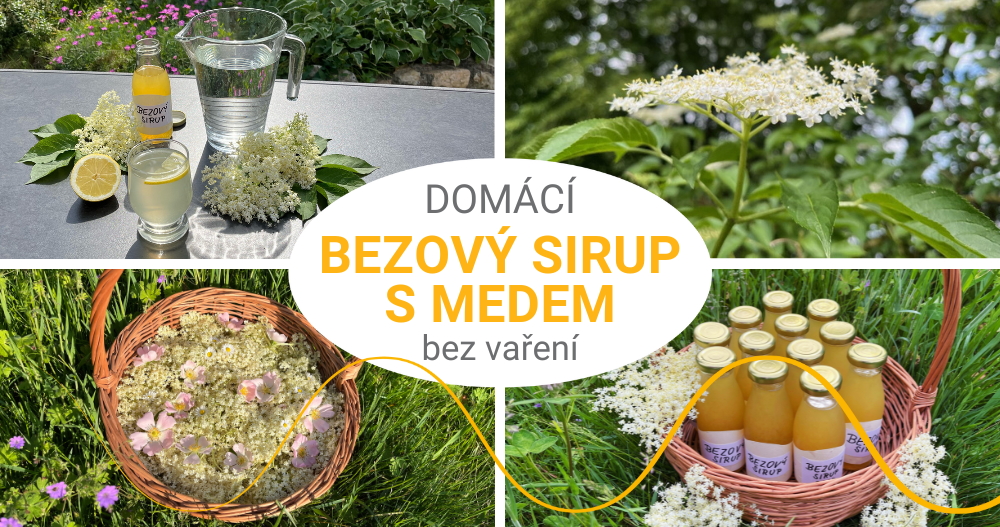Sirup z bezových květů s medem bez vaření, Pleva