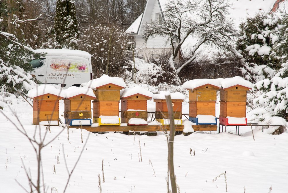 včelí úly pod sněhem