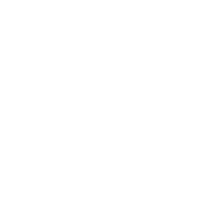Vločka