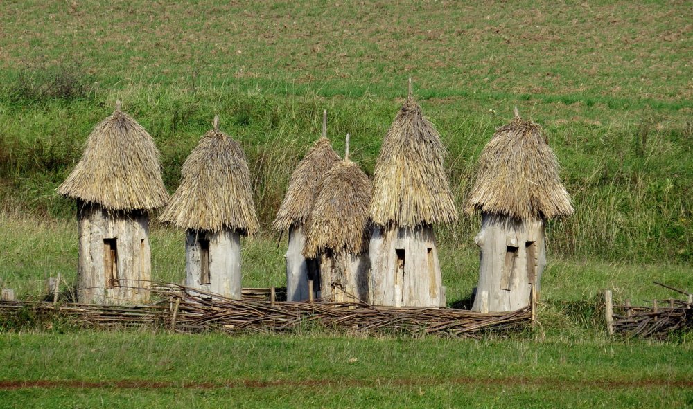 historické proutěné včelí úly