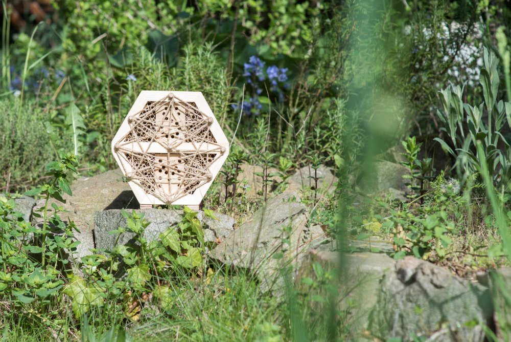 Hmyzí hotel pro včely samotářky, šestiúhelník, Pleva