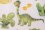 D55 Dinosaurus