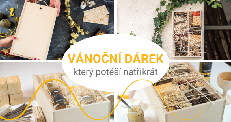 Aby nadšení nekončilo rozbalením. Vánoční dárek, který udělá radost hned třikrát.