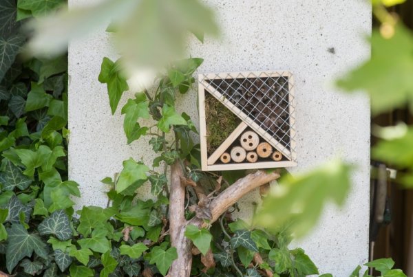 Insektenhotel - Quadrat