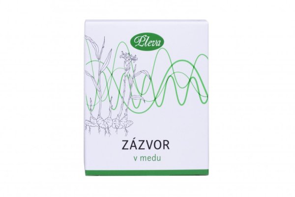 Zázvor lékařský v medu