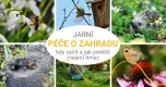 Jarní péče o zahradu – kdy začít, do čeho se pustit a jak potěšit (nejen) hmyz?