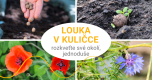 Seedballs: Kuličky plné louky pro včelky a brouky