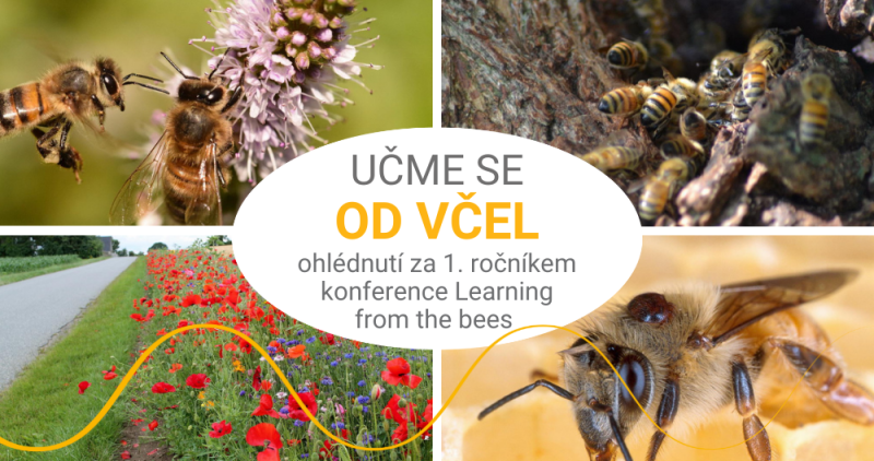 Konference Learning from the Bees o vztahu člověka a včel