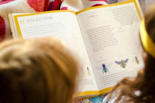 Dětská kniha Úžasný svět včel