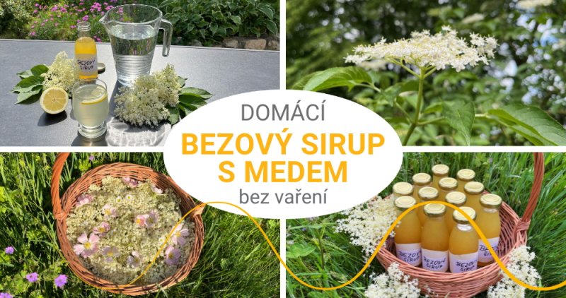 Sirup z bezových květů s medem bez vaření