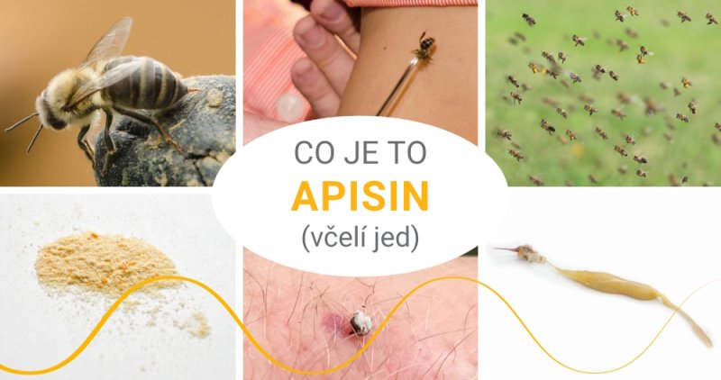 Co je to apisin?