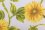 L54 Sunflower