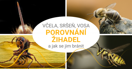 Včelí, vosí a sršní žihadlo: které bolí nejvíce a jak se jim bránit?