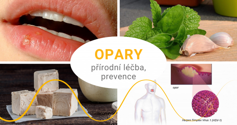 Opary - domácí a přírodní léčba, prevence