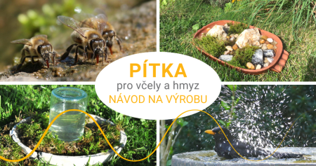 Jak vyrobit pítko pro včely a hmyz