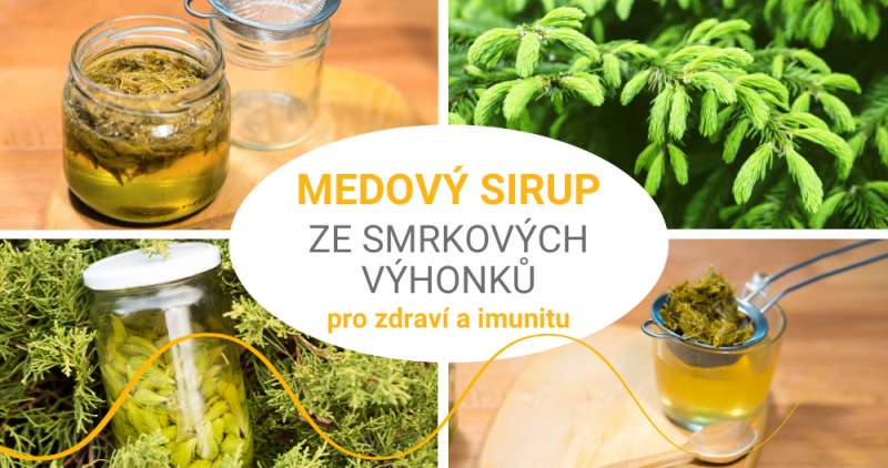 Smrkové výhonky v medu pro zdraví a imunitu