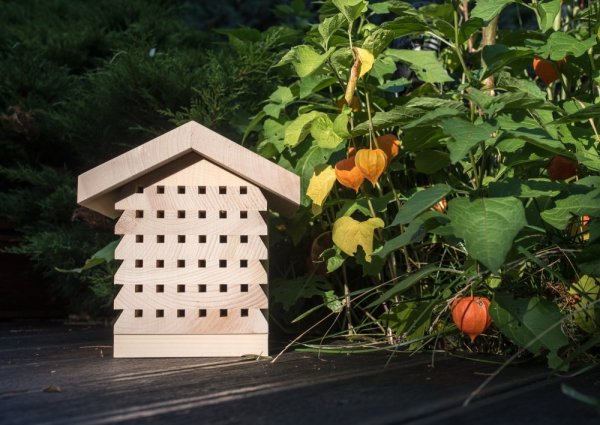 Insect hotel for wild bees