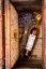 Lavendelhonigwein 0,5l - limitierte Serie