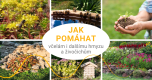 Jak pomáhat včelám a dalšímu hmyzu