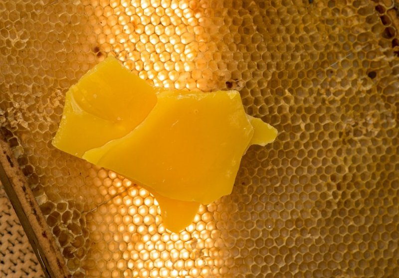 What is beeswax?