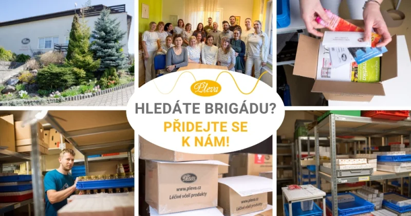 Hledáme šikovné brigádnice a brigádníky k nám do Potštejna na podzimní výpomoc do expedice