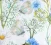 Wiese mit blauen Blumen