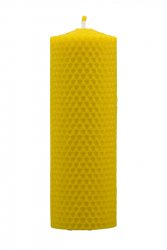 Svíčka ze včelího vosku Pleva, šíře 50mm, různé výšky - Výška svíčky: 67 mm