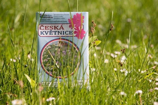 Osivo Česká přírodní květnice - luční trvalky - Hmotnost: 40 g