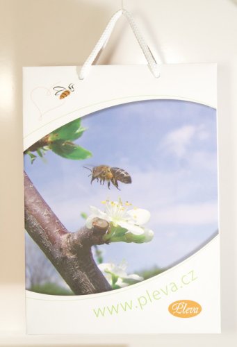 Die Papiertasche Pleva - 19x27 cm