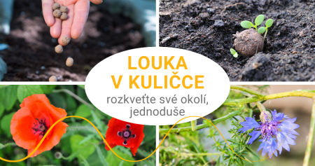 Seedballs: Kuličky plné louky pro včelky a brouky