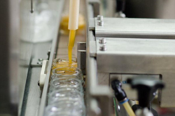 Bottling of ointment with propolis into glass containers, 2018