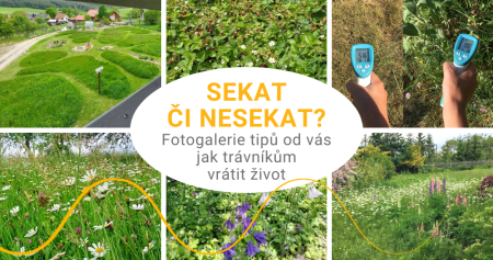 Sekat či nesekat? Fotogalerie tipů od vás, jak vrátit trávníkům život