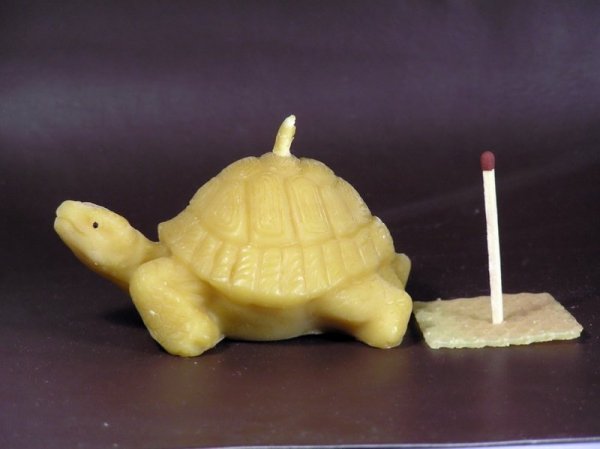 Beeswax candle, Hand Poured - big Turtle