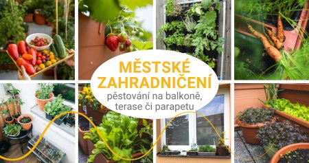 Městské zahradničení - tipy pro vlastní čerstvou úrodu