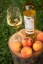 Saftiger Honigwein mit Pfirsich 0,5l - limitierte Serie