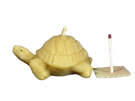 Beeswax candle, Hand Poured - big Turtle