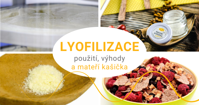 Lyofilizace umožňuje zachovat cenné vlastnosti mateří kašičky