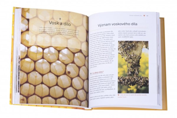Kniha Včelaření vstřícné ke včelám, Günter Friedmann