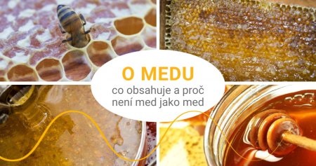 Med pod drobnohledem: Chemické složení a co ovlivňuje jeho kvalitu