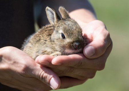 Our cosmetic products are not tested on animals