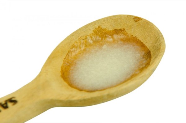 Česká mateří kašička - lyofilizovaná - Balení: 2 g (10 dávek)