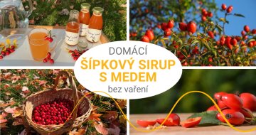 Podzimní elixír: šípkový sirup s medem bez vaření