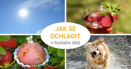 Horko? Čtyři tipy, jak se zdravě ochladit