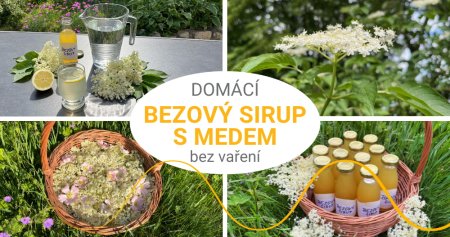 Sirup z bezových květů s medem bez vaření