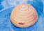Ceramic decoration for house and garden - bee hive - Beehive size: big - Durchmesser 7 cm, Höhe 4 cm