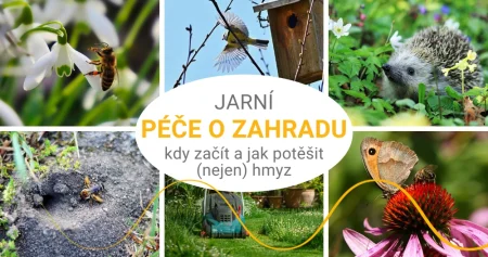 Jarní péče o zahradu – kdy začít, do čeho se pustit a jak potěšit (nejen) hmyz?