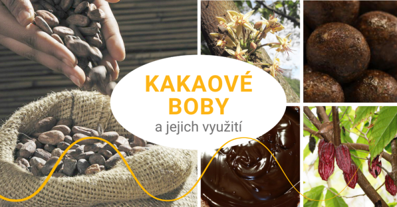 Kakaové boby - nejčokoládovější čokoláda na světě