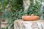 Ceramic Bird Bath with Stepwise Entry for Insects and Birds - Drinker: with a small beehive