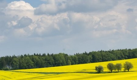 Včelař o biomedu: „Nelžeme sami sobě, ani ostatním“